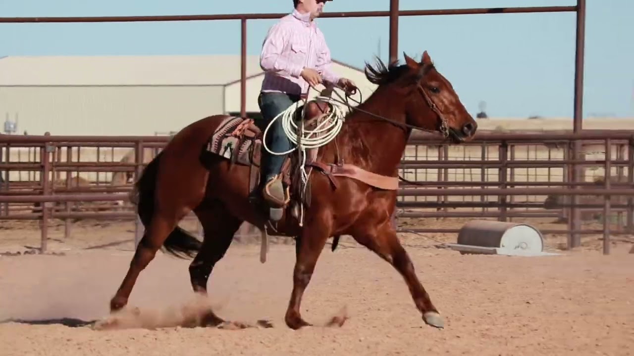 BOONS CAPITAL ACRES