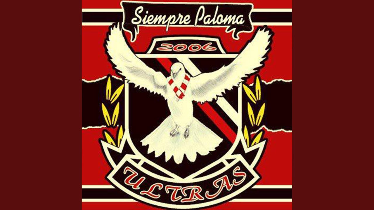 F Kol Medina