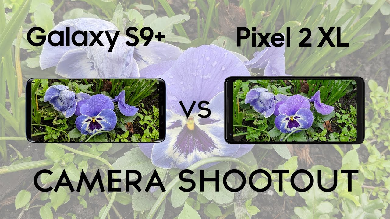 Samsung Galaxy S9+ vs Pixel 2 XL: Camera Shootout