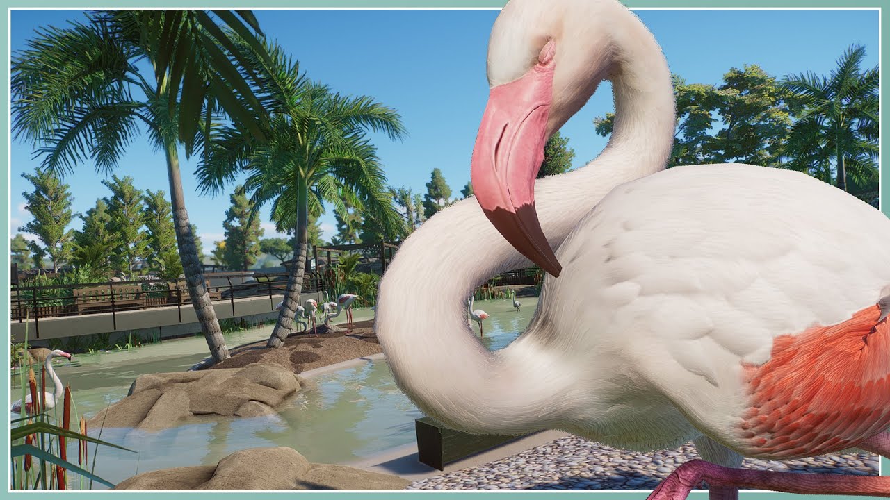 Greater Flamingo Habitat! | River Rock Zoo Remodel | Planet Zoo Slow Build [No Commentary]