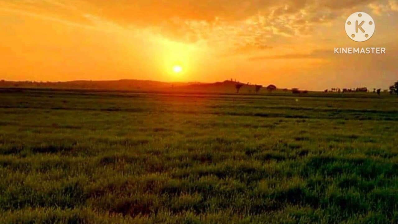 Amharic_cultural_music ( Sewunet_Alamne) ሰውነት አላምኔ (ምርጥ ባህላዊ ሙዚቃ)