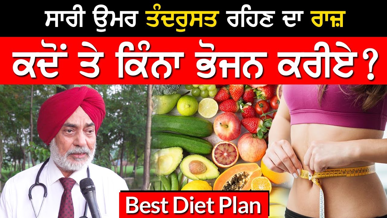 Best Diet Plan । ਭੋਜਨ ਖਾਣ ਦਾ ਸਹੀ ਤਰੀਕਾ । Healthy Lifestyle । Akhar