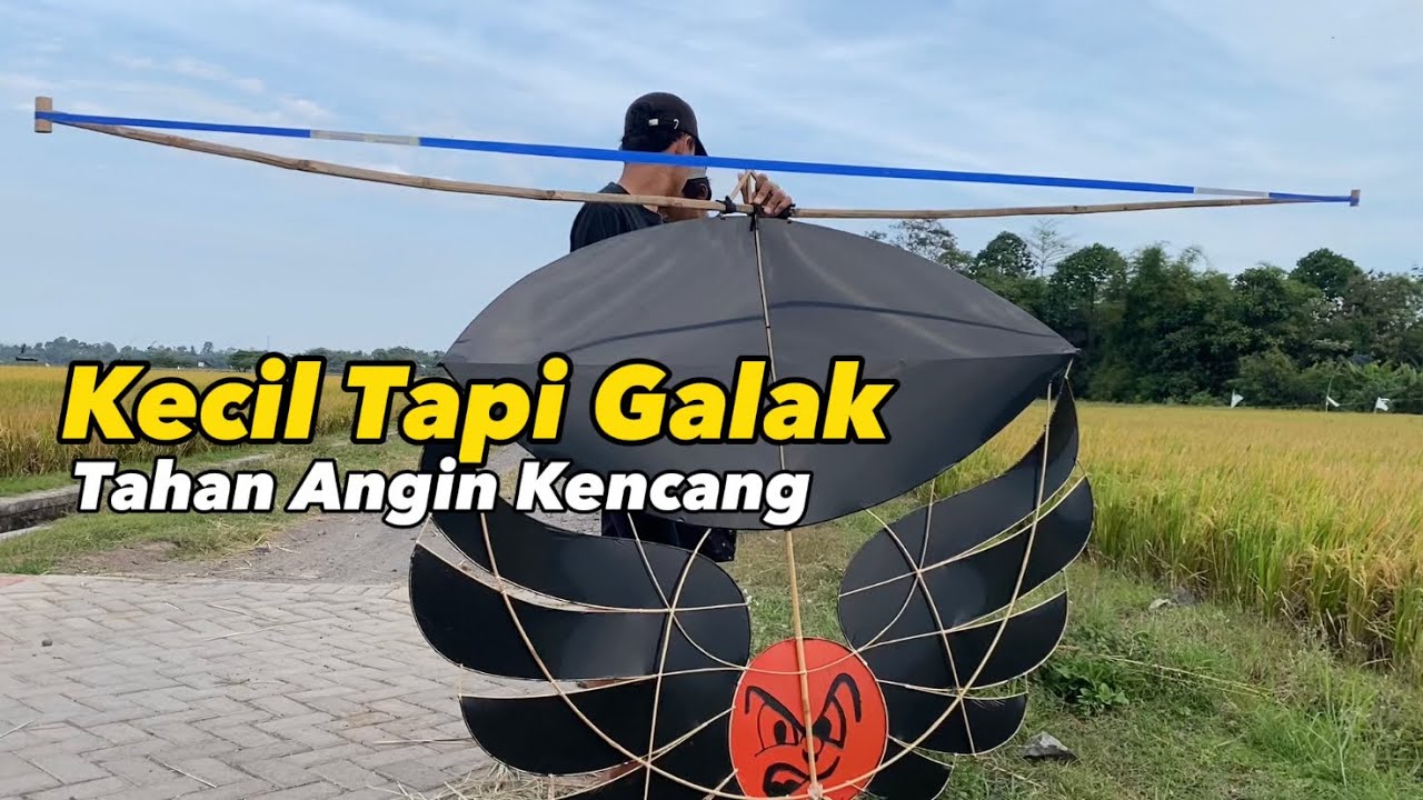 Layangan Kecil Tapi Sangat Racing Dan Galak