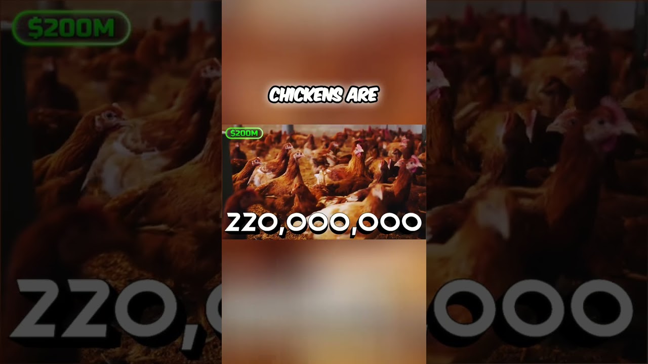 This Company Made Chicken… Without Killing a Chicken 🤯 