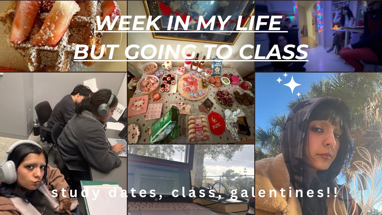 video diaries: 002 floridian complains about the cold, going to classes, galentines and studying!