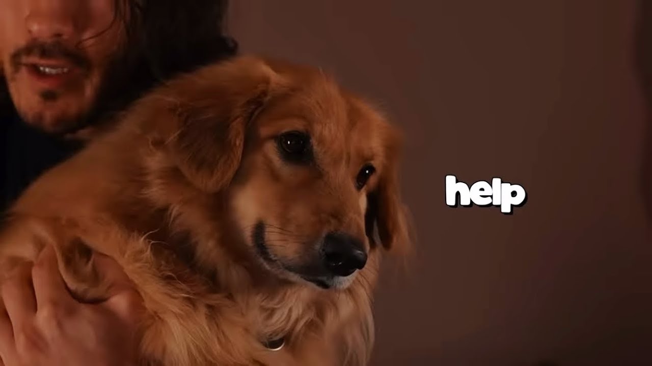 Henry’s best moments Pt. 4!