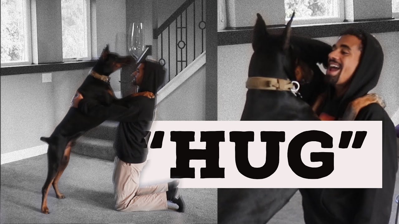 Teach Your Dog to HUG You! Easy trick to teach dogs.
