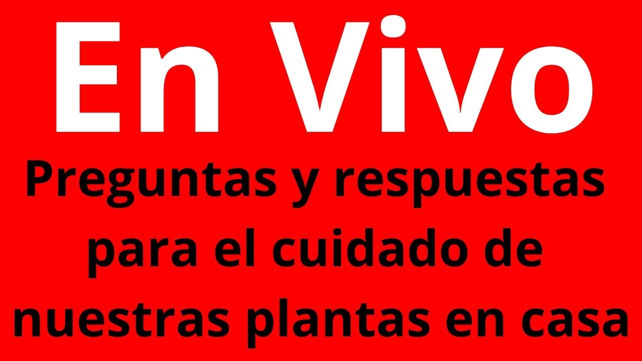 EN VIVO, CONSEJOS PRÁCTICOS PARA EL CUIDADO DE NUESTRAS PLANTAS EN CASA
