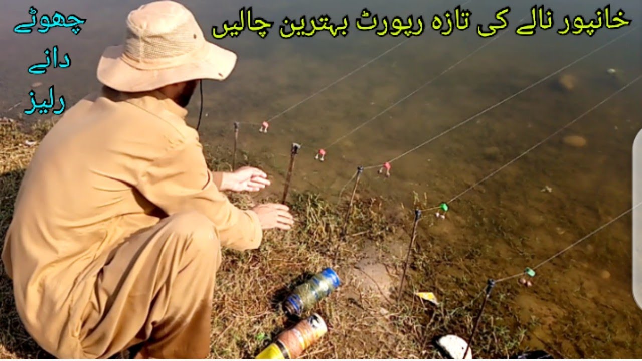 Fishing fish Catching | Rohu fishing Live Chall Best Hook Fishing techniques | Khan Shikari