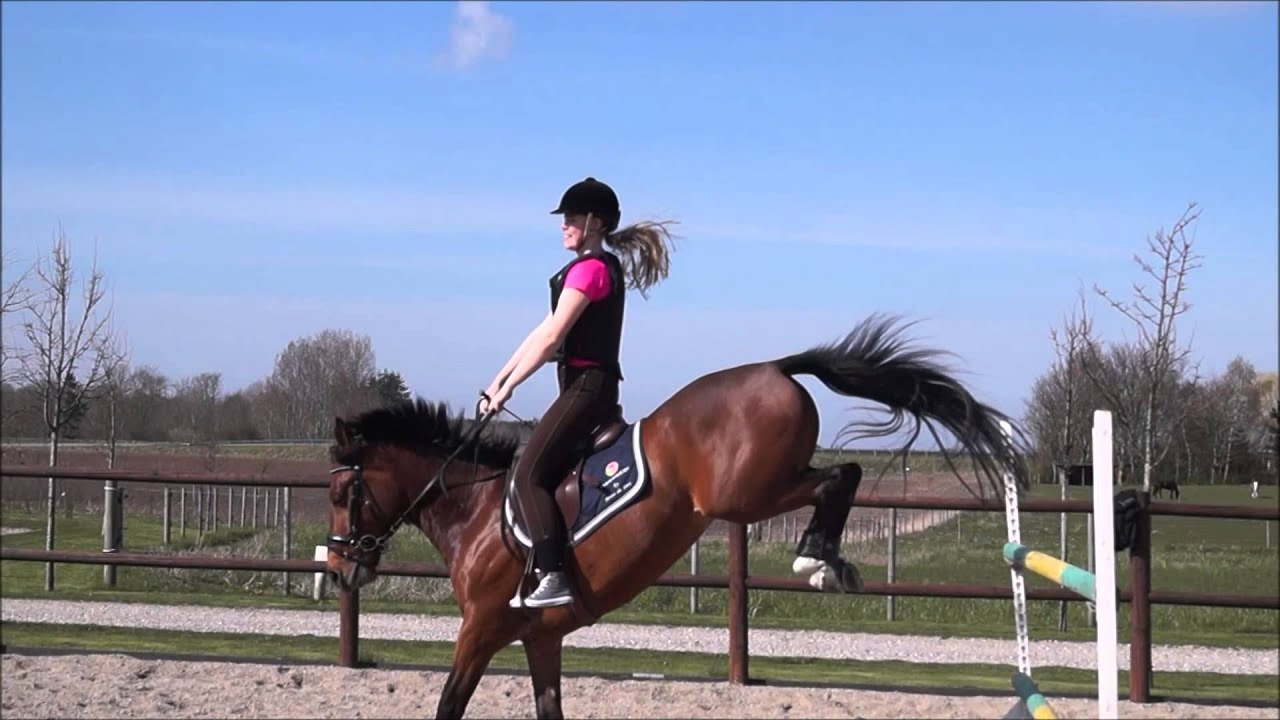 Challenge Video! 🙈 | Camillas hesteverden