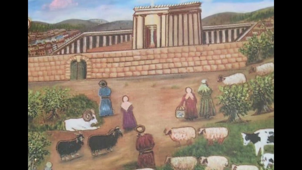 אלעד חסון   שיר השירים   פרקים ה' ו'