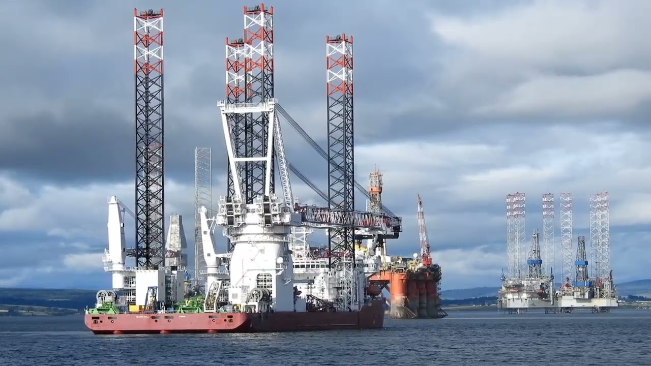 SEAJACKS SCYLLA