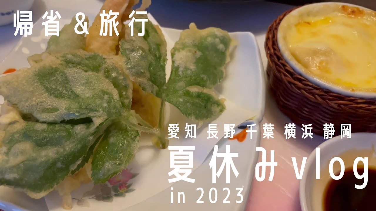 vlog動画 | 帰省と旅行 | 夏休み |愛知|長野|千葉|横浜|静岡