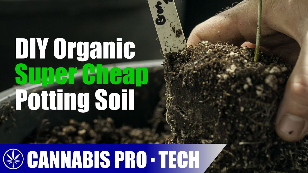 Building a Nutrient Rich Organic Potting Mix