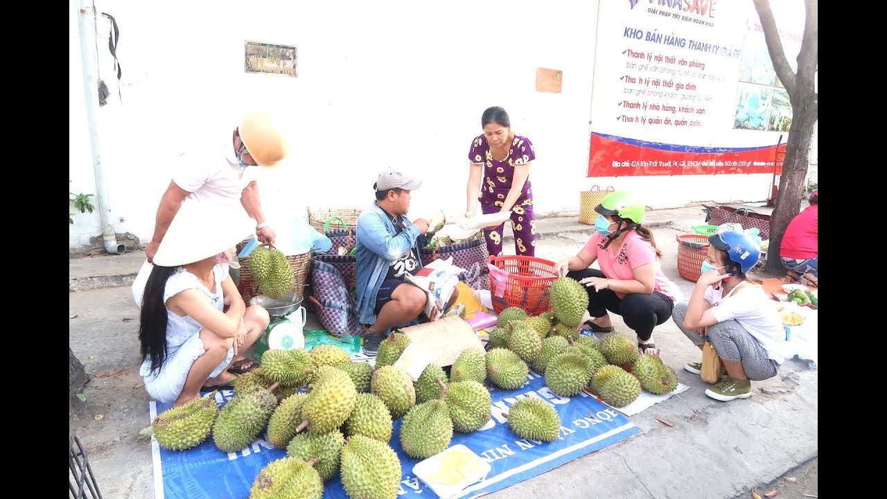 Em trai Chợ Lách bán sầu riêng chín cây, người Sài Gòn bu lại mua quá trời