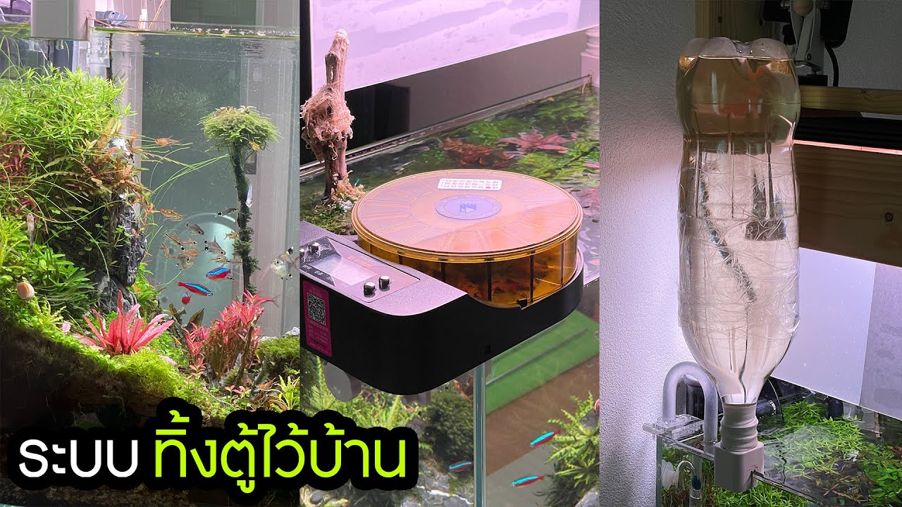 ให้ตู้ไม้น้ำเฝ้าบ้าน อีกแล้ว!! : Automation Planted Tank
