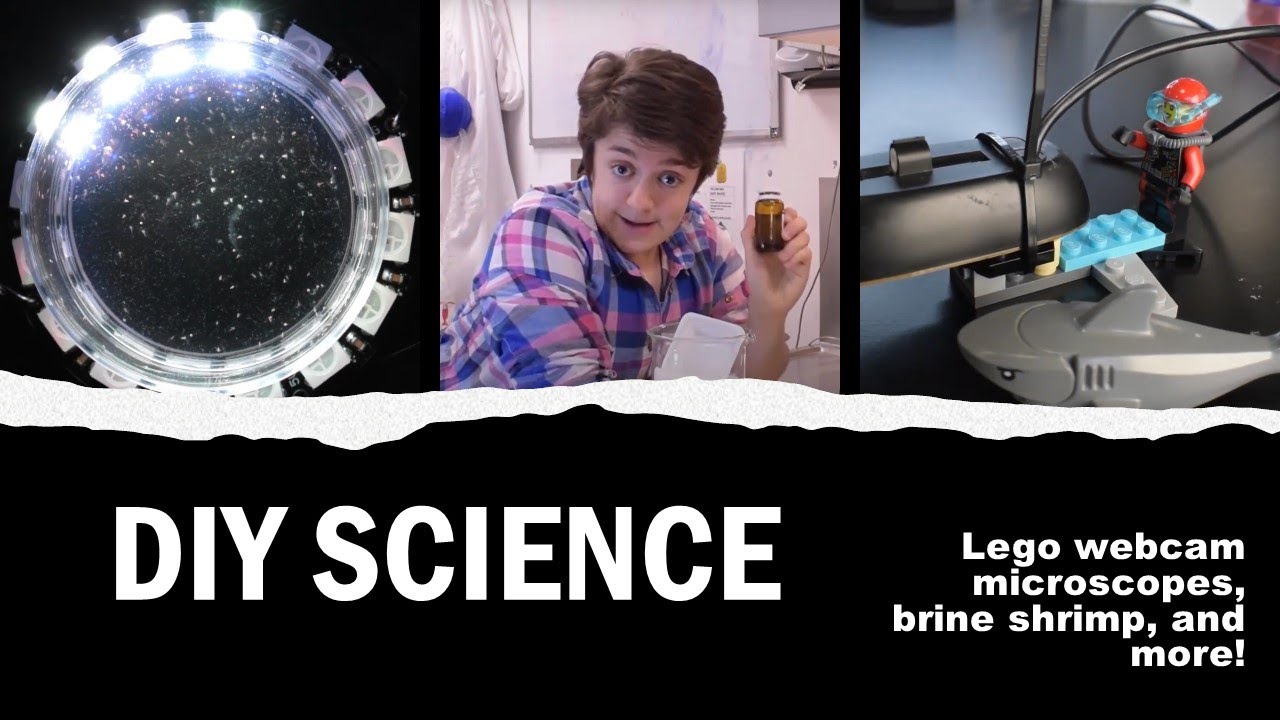 DIY SCIENCE! Simple tools and tricks for your own experiments