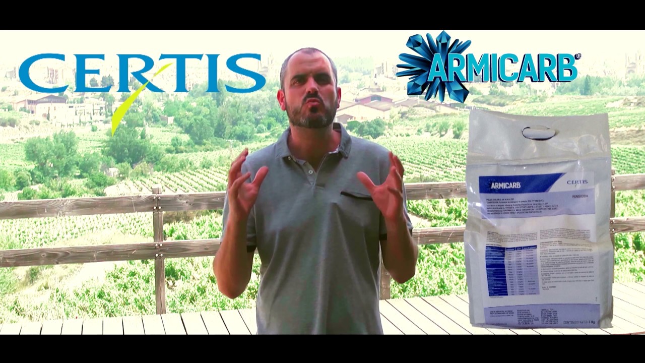 Armicarb contra oídio y botritis en vid de vinificación