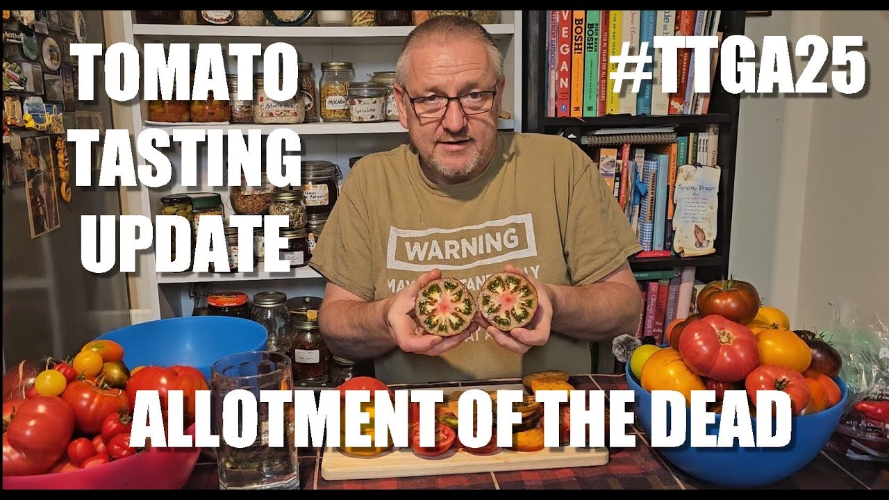 Tomato Tasting #ttga25 #chilli