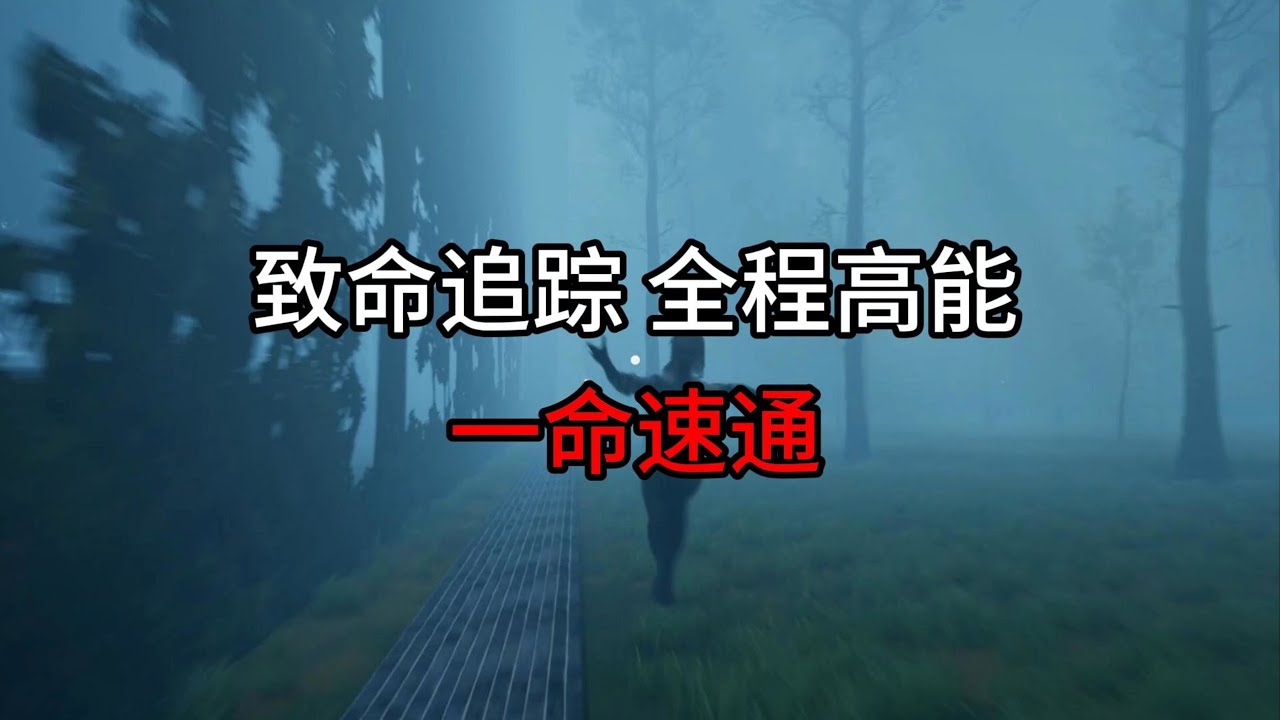 【致命追踪 全程高能 一命速通】来了宝贝 致命追踪 全程追逐战非常刺激 一命速通