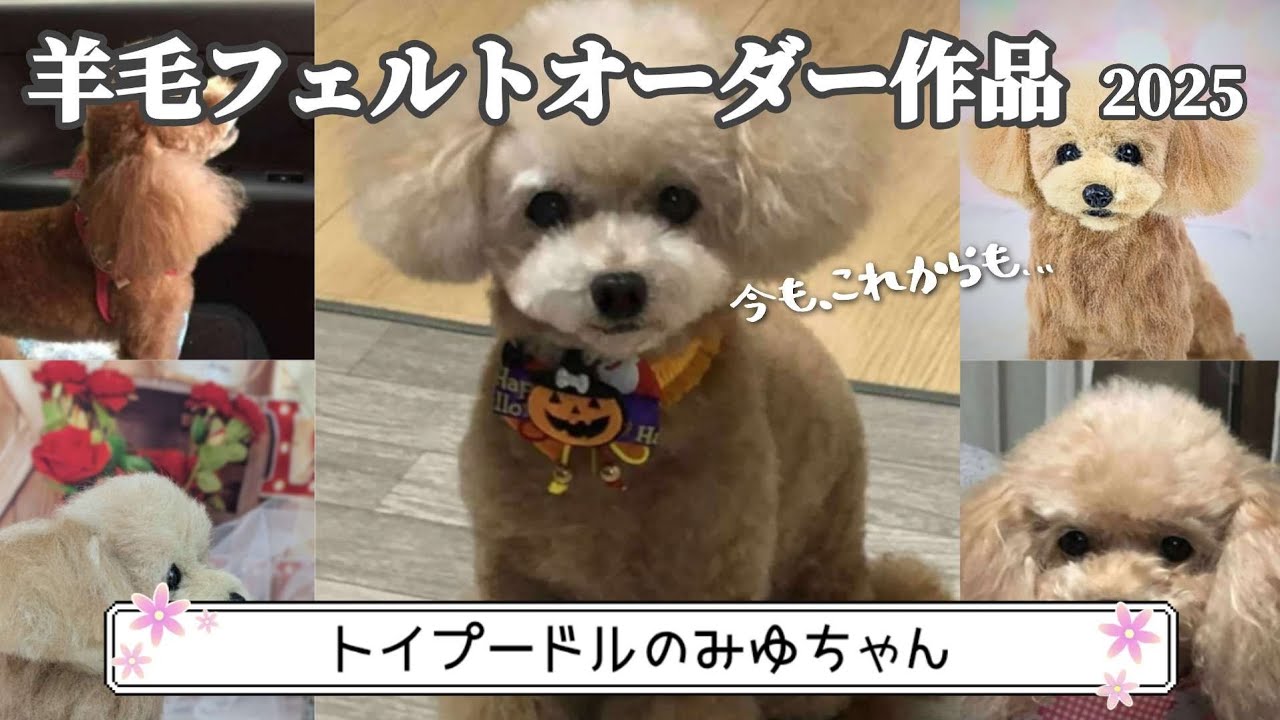 【ママ、今も、これからも…】羊毛フェルトオーダー作品 プードルのみゆちゃん🌈 #羊毛フェルト #癒し #ハンドメイド#プードル
