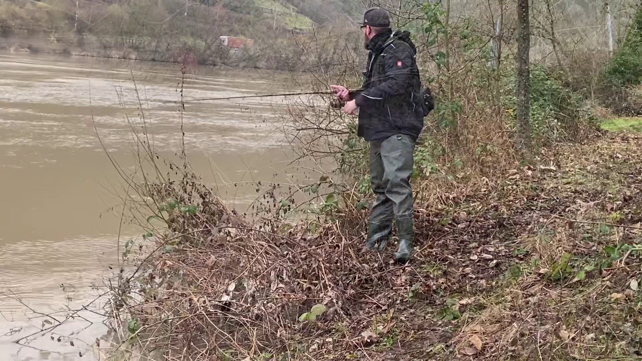 Wels Spinnfischen bei Hochwasser