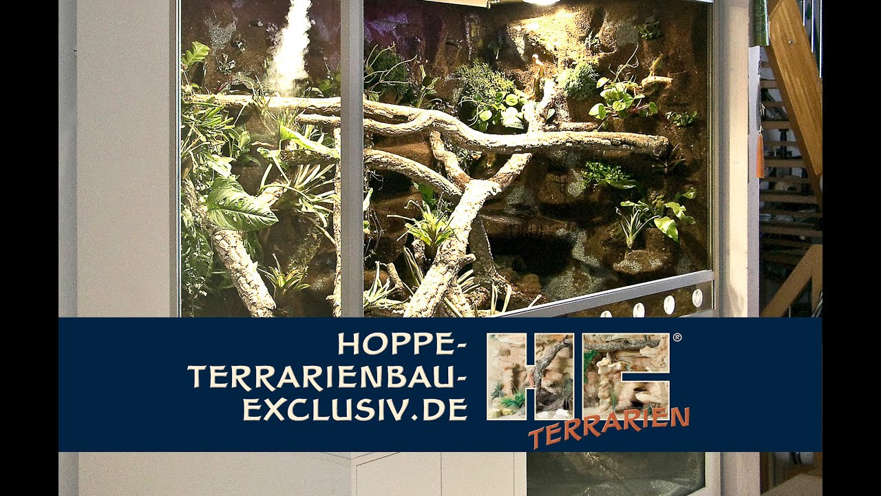 Aqua Terrarium für grüne Wasseragamen