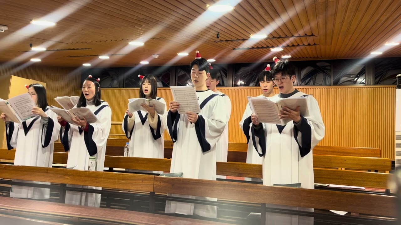 Noel- 까네레 특송(Canere)