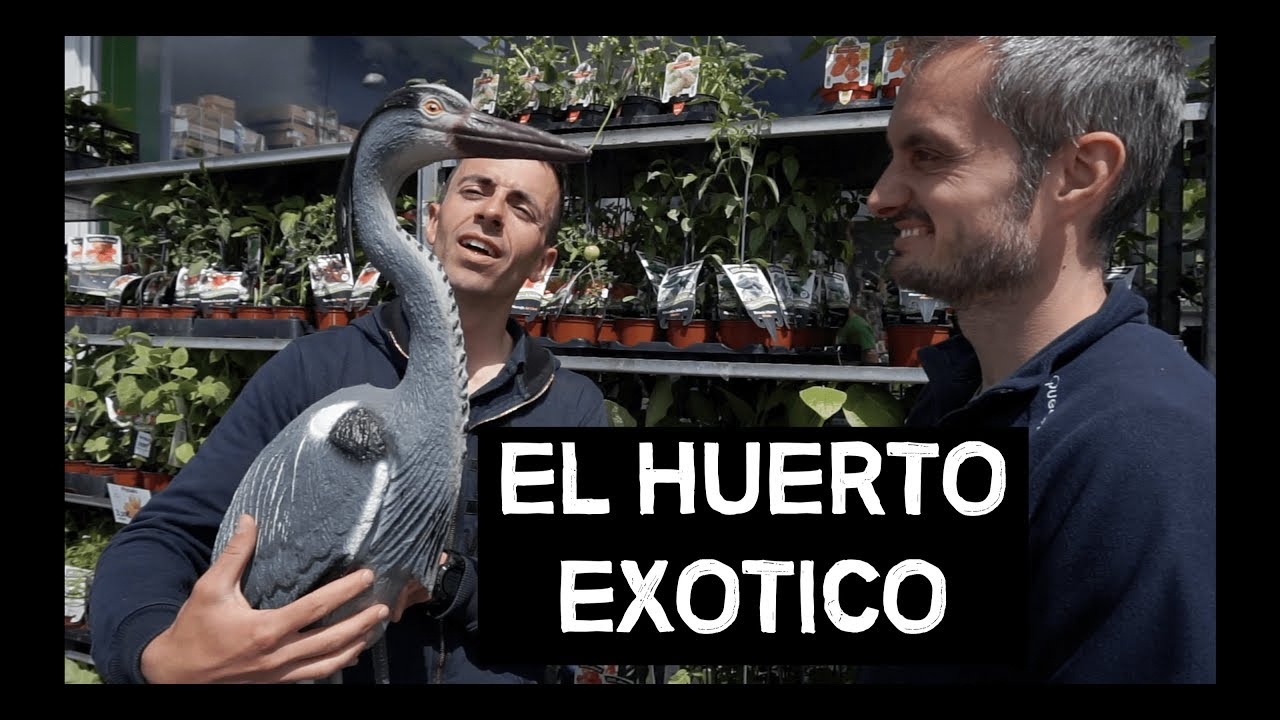 EL HUERTO EXOTICO l Piensos Lago