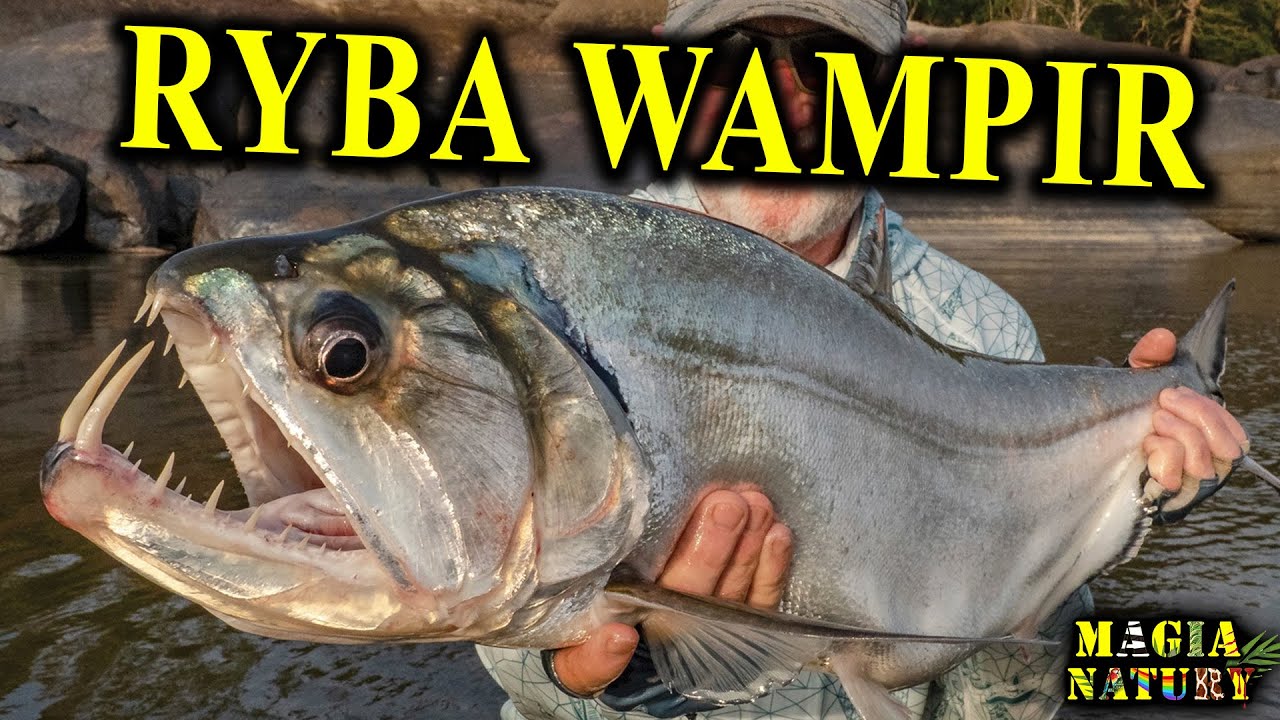 Podwodne Potwory i Klejnoty AMAZONII!