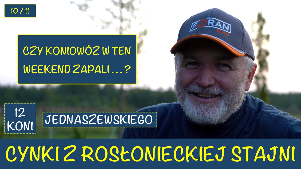 Cynki ze Stajni Rosłońce 10 i 11 dzień wyścigowy Adam Wyrzyk