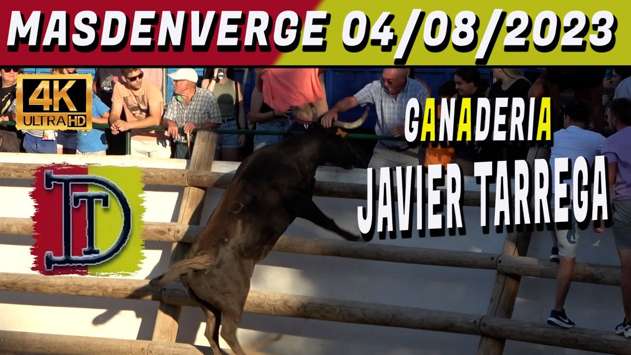 👀👉✅4K-MAS d'ENVERGE JAVIER TARREGA