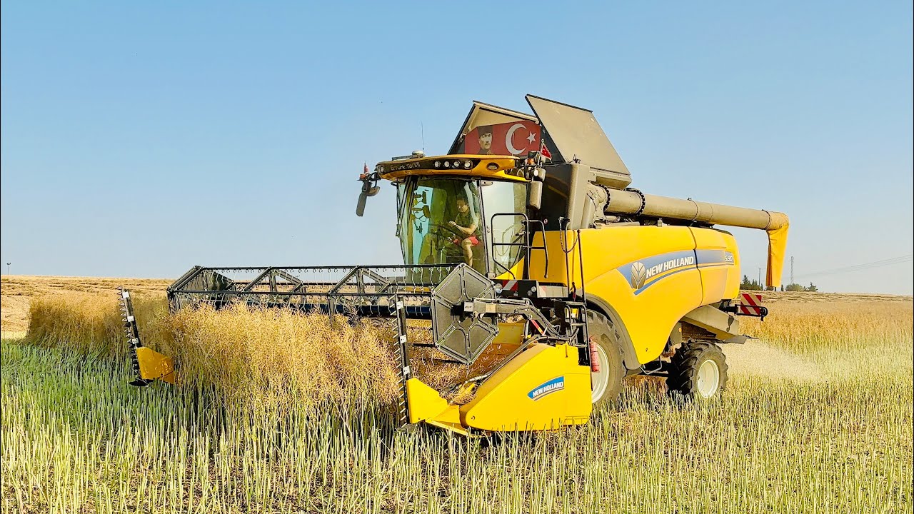 KANOLA HASADI | NEW HOLLAND CX6.80