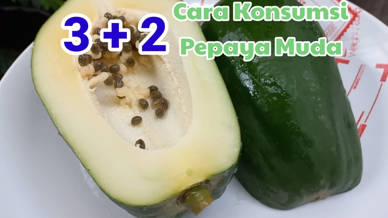 3 + 2 Cara Konsumsi Pepaya Muda.