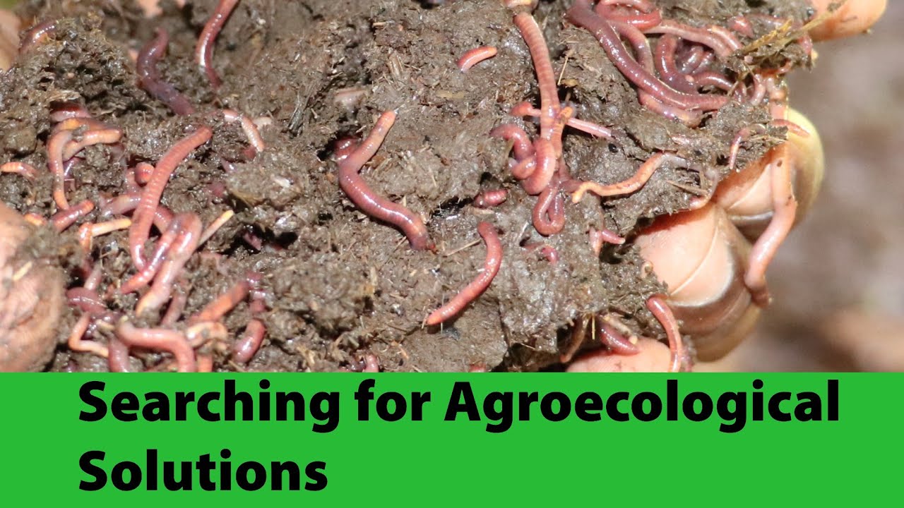 Vihiga and Murang'a Counties lead the way to agroecological transformation