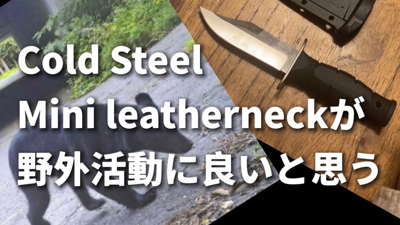 【クマ被害対策】野外での護身小刀のススメ【このナイフが良いんじゃない？】