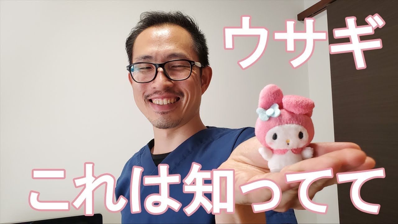 【うさぎ】獣医師が教える飼い方９つのポイント