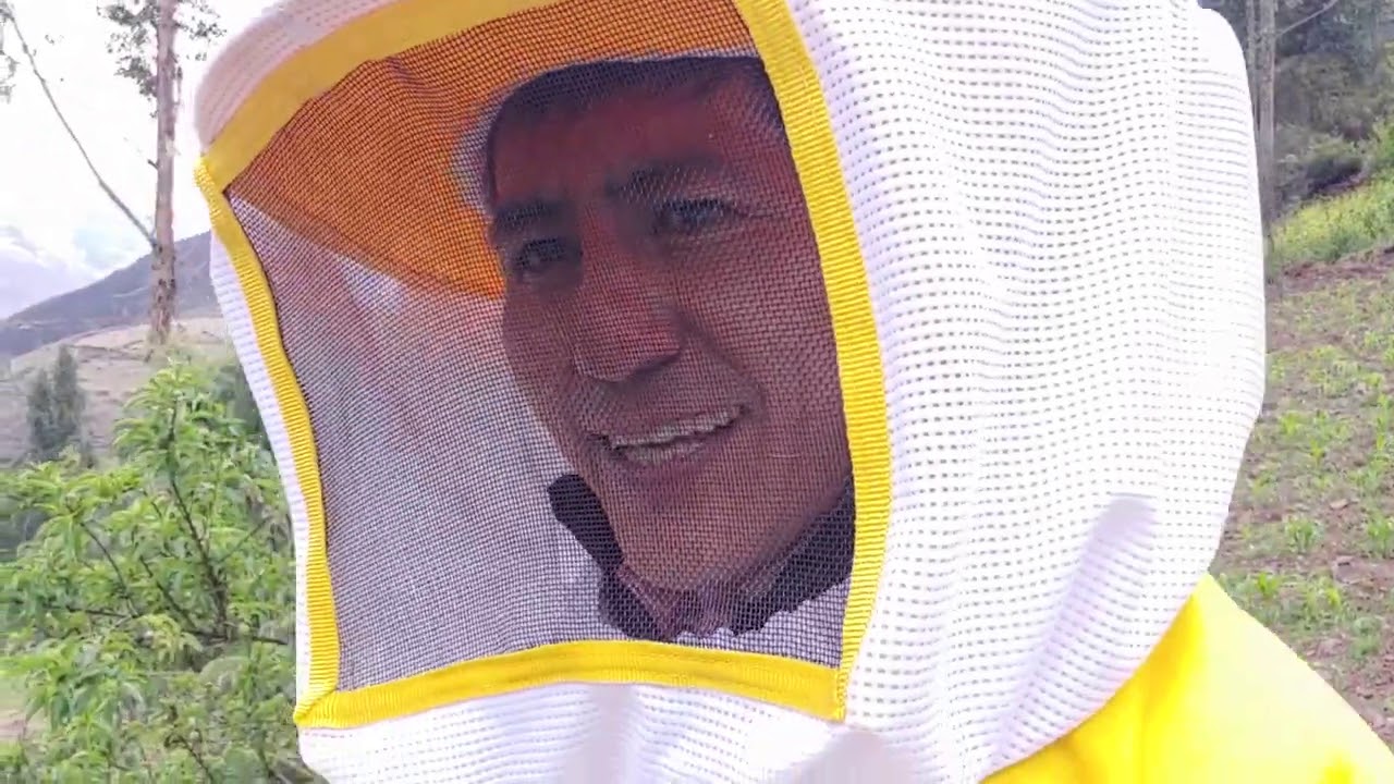 APÍCULTURA EN EL VALLE SAGRADO DE LOS INCAS   CALCA   LLIPLLEC