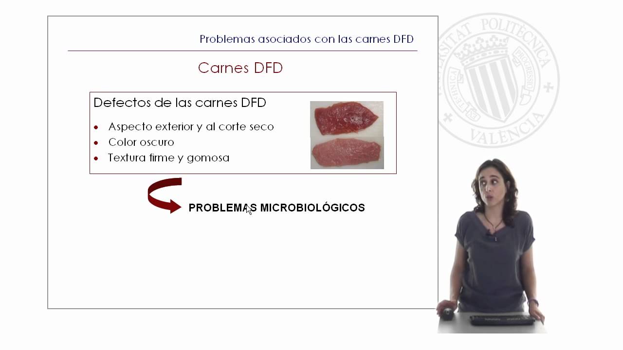 Carnes PSE y DFD |  | UPV