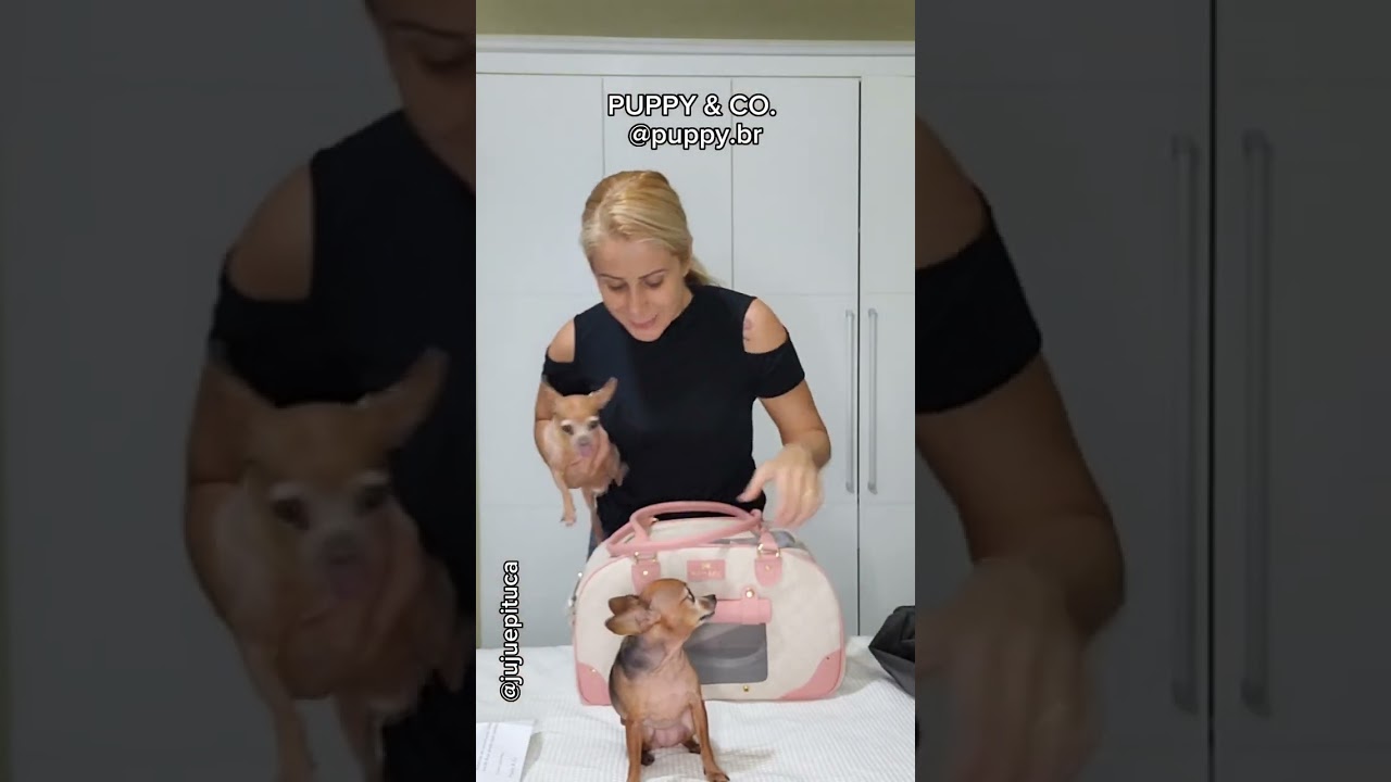 A MELHOR BOLSA DE TRANSPORTE PRA CACHORRO