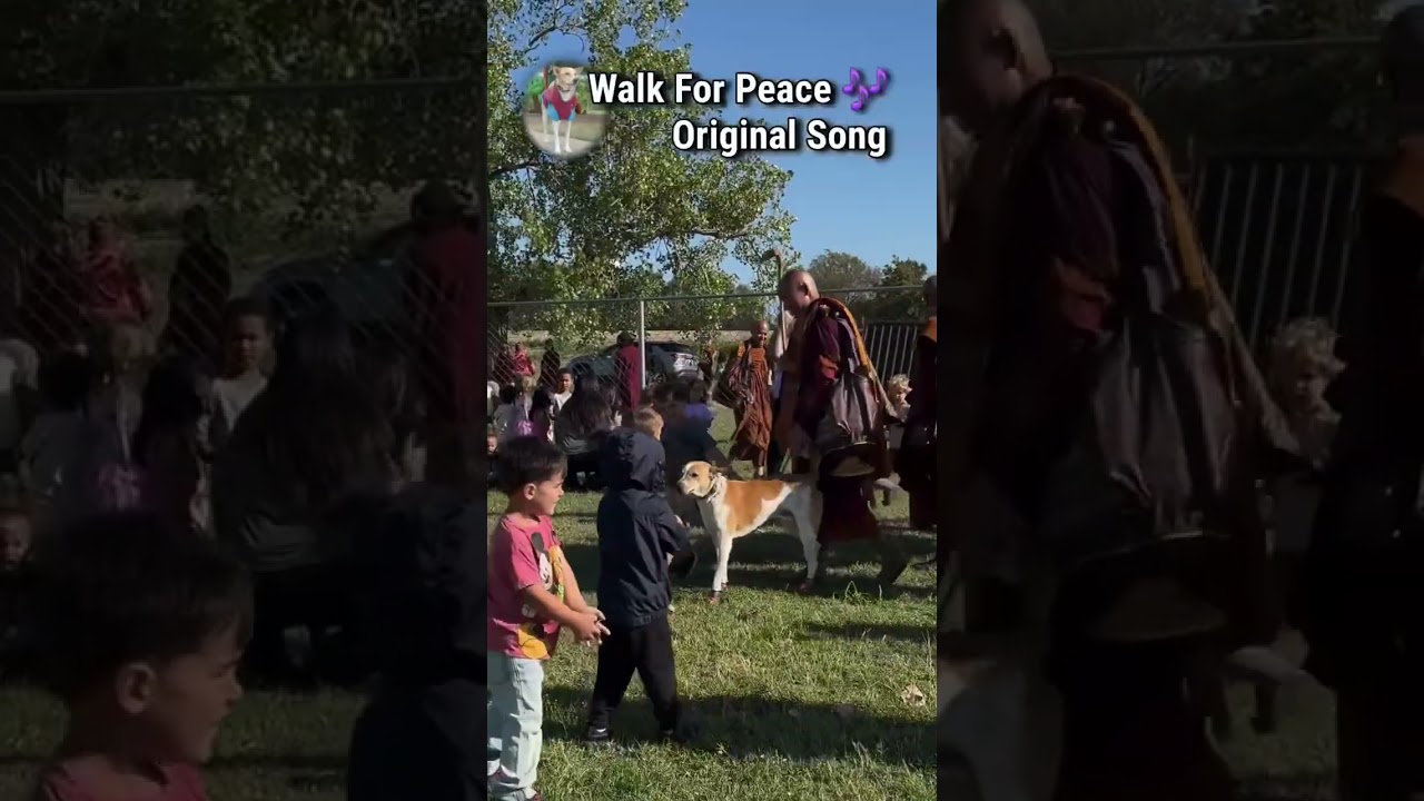 Walk for Peace- Original Song 