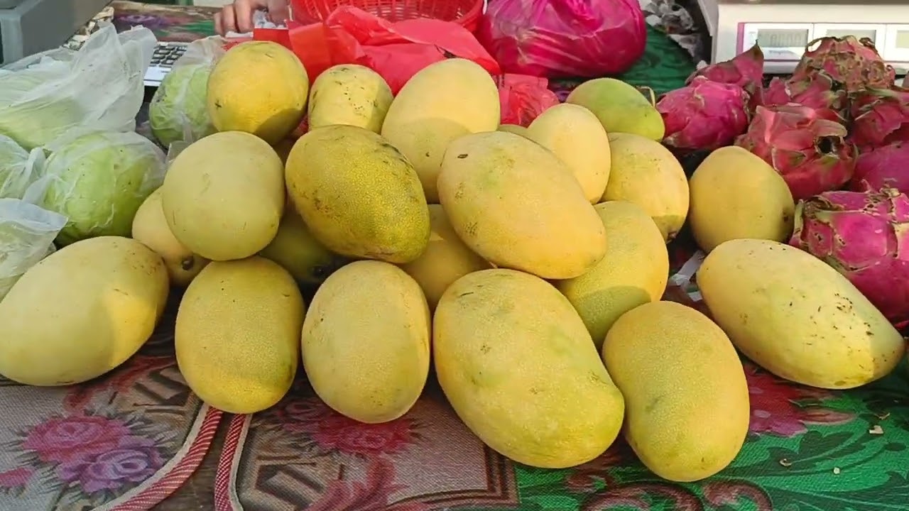 MALAYSIA KO GAUMA FALFULKO BYPAR 