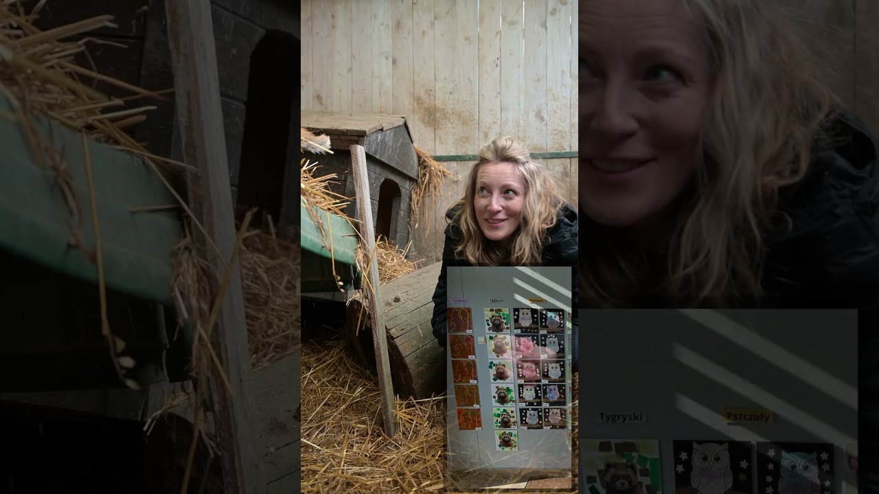 Podziękowania i coś jeszcze... #zwierzaki #animalhelp #animals #fox #ciekawostki #zwierzęta #natura