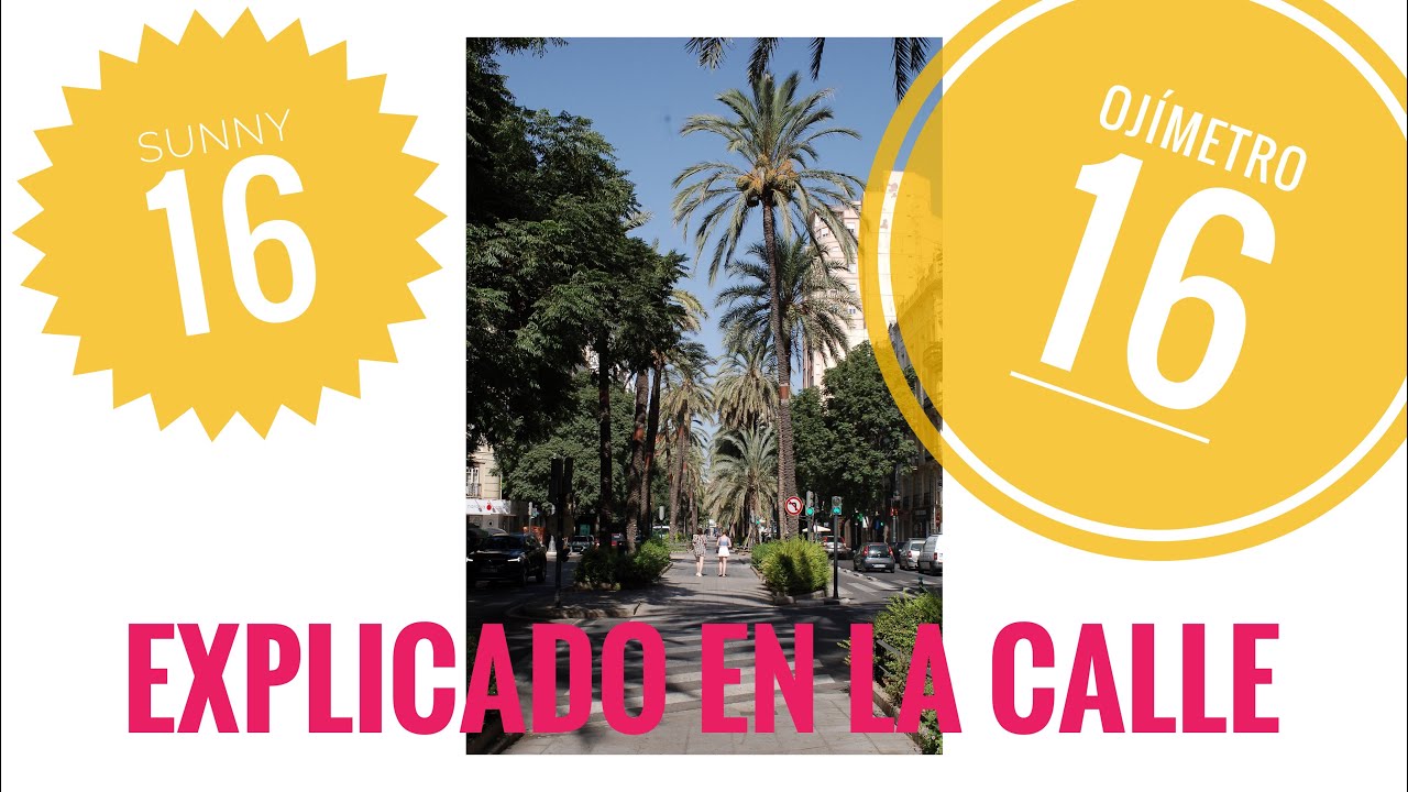 SUNNY 🌞 16 ¿cómo medir la luz a ojo 👁?