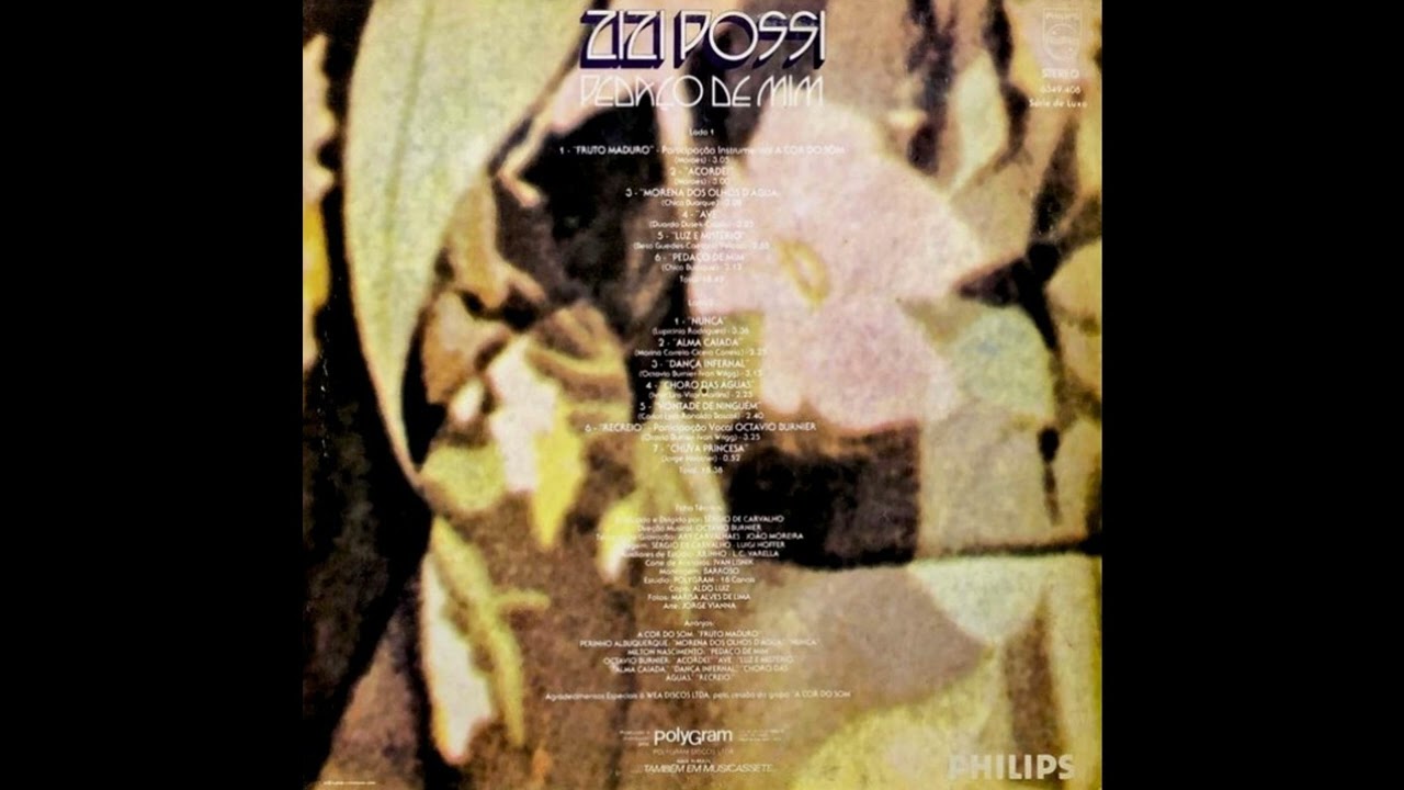 Zizi Possi - Nunca