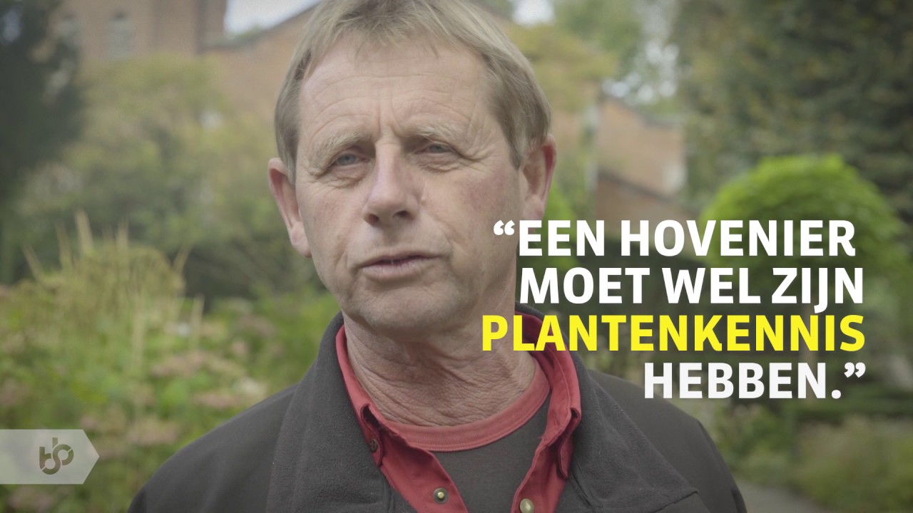 Praktijkleren: Vakbekwaam Hovenier