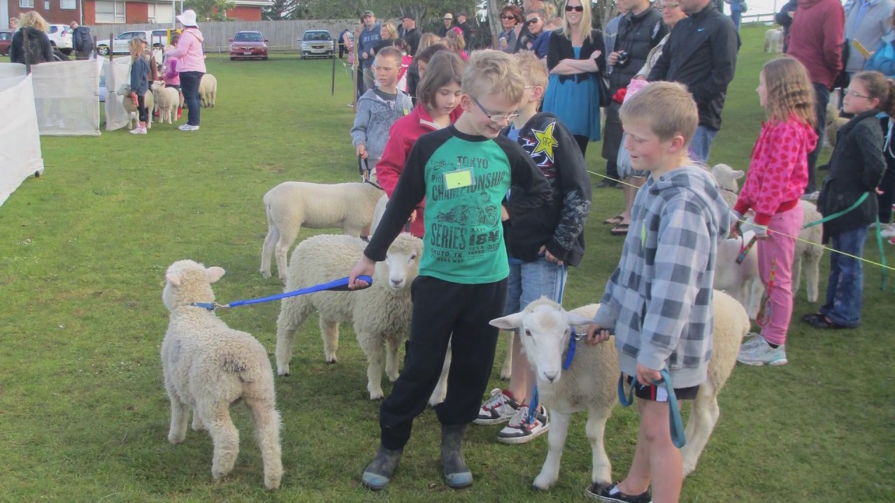 Bombay School Principal