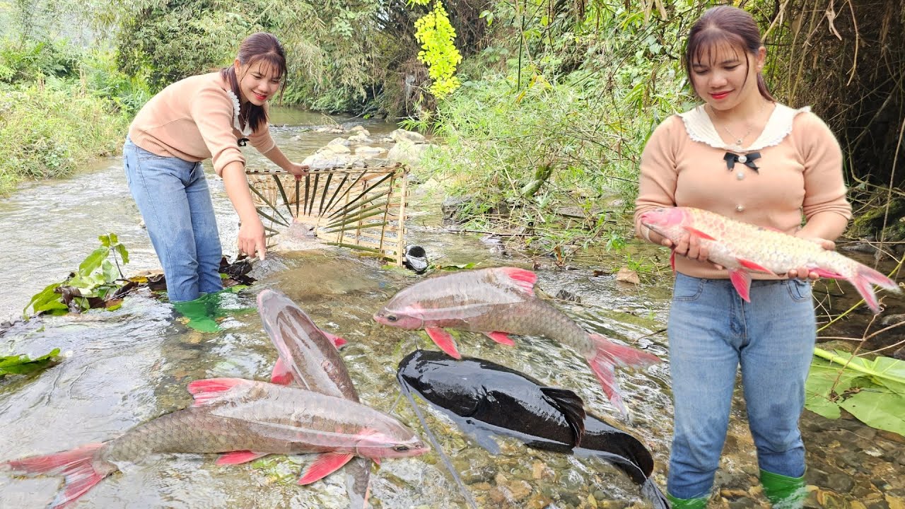 Maximum fish trap on a fast flowing stream, girl's survival life on the lake.