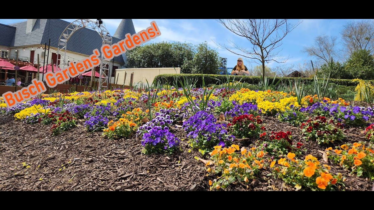 Busch Gardens Springtime Flower Displays! (April Fool's Day Video)