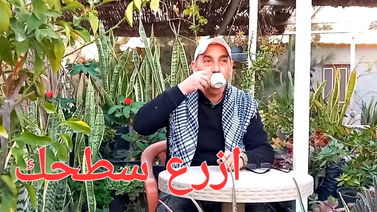 هذا سطح منزلي بأقل الامكانيات تقدر تعمل زيه roof garden
